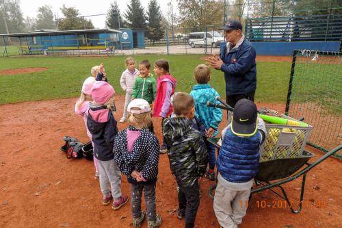 Vijole na baseballu