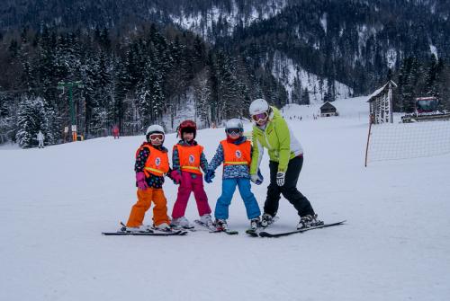 Zimovanje Kranjska Gora